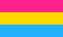 an attraction to people of any gender or to people regardless of their gender.